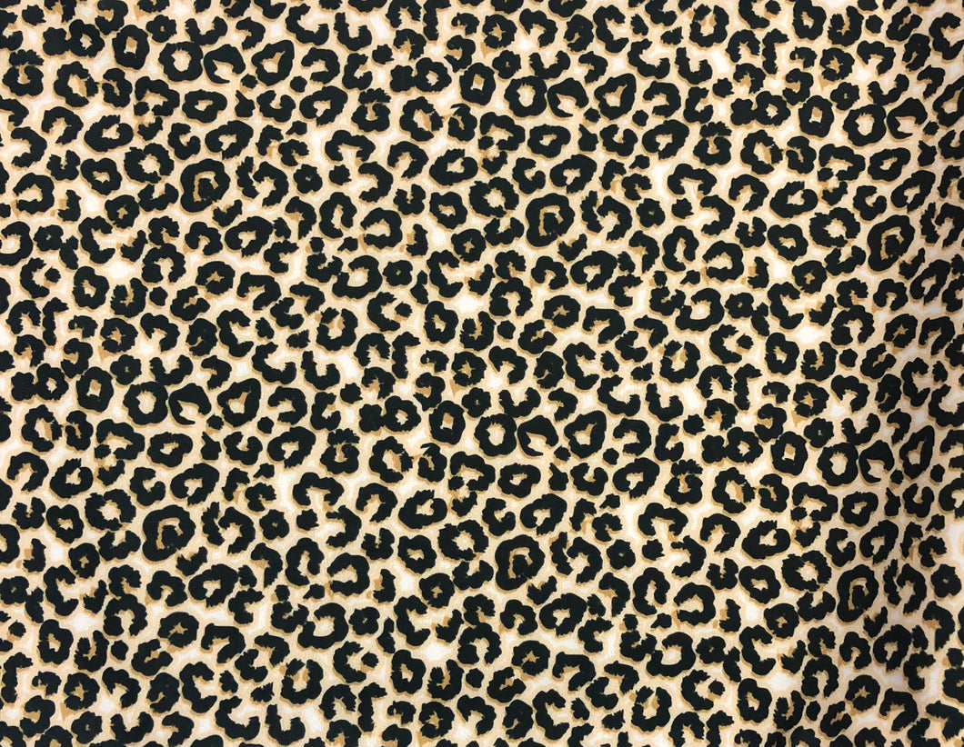 Cheetah Swim