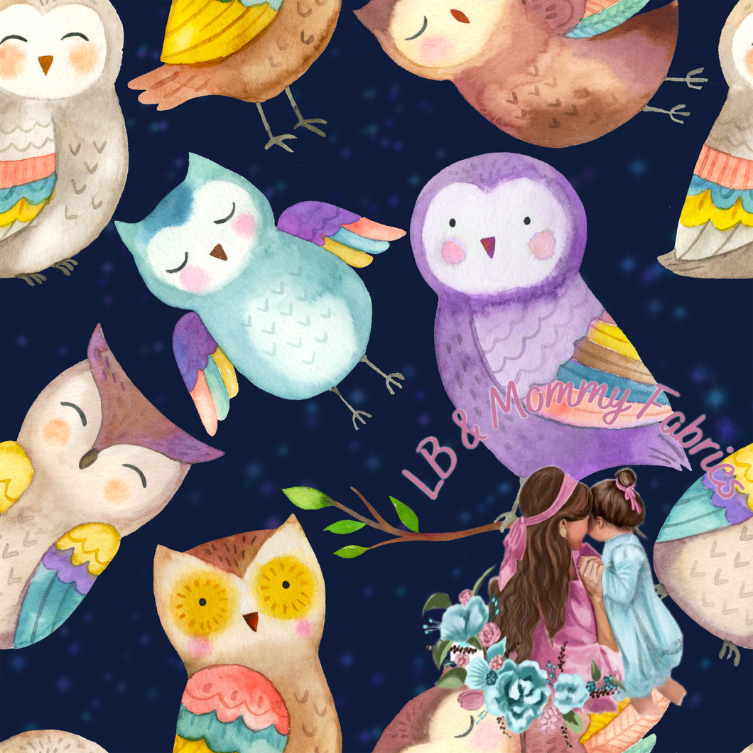 BLANKET-Colorful owls(P3)